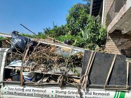Best Moving and Downsizing Cleanouts  in Crawford, GA